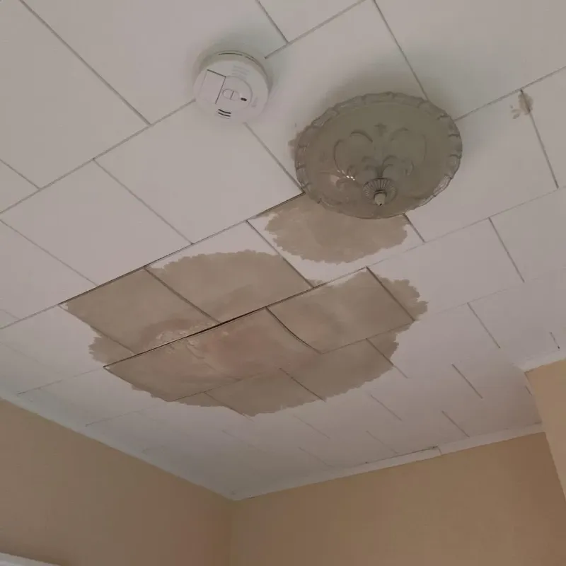 Ceiling Water Damage Repair in McLendon-Chisholm, TX