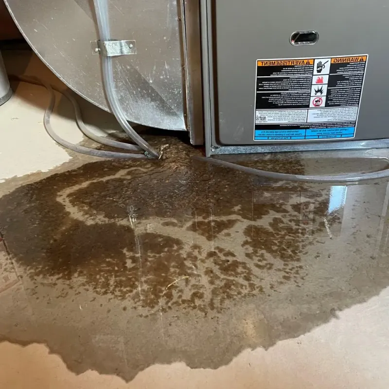 Pipe Burst and Leak Restoration in McLendon-Chisholm, TX
