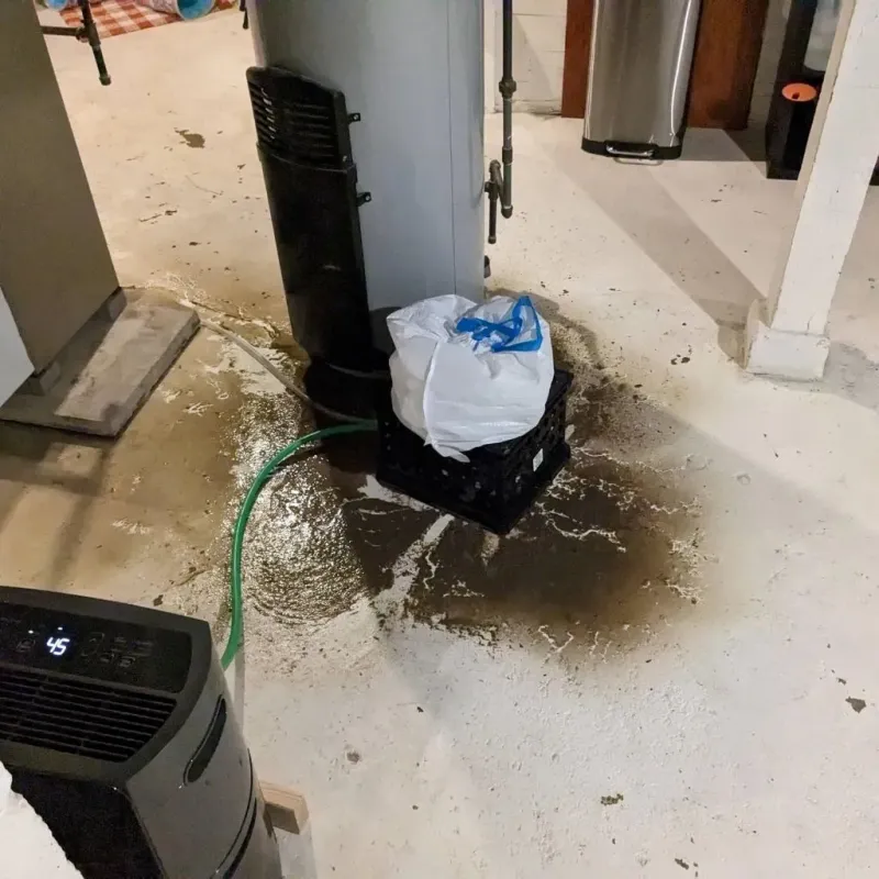 Sewage Backup Cleanup Service in McLendon-Chisholm, TX